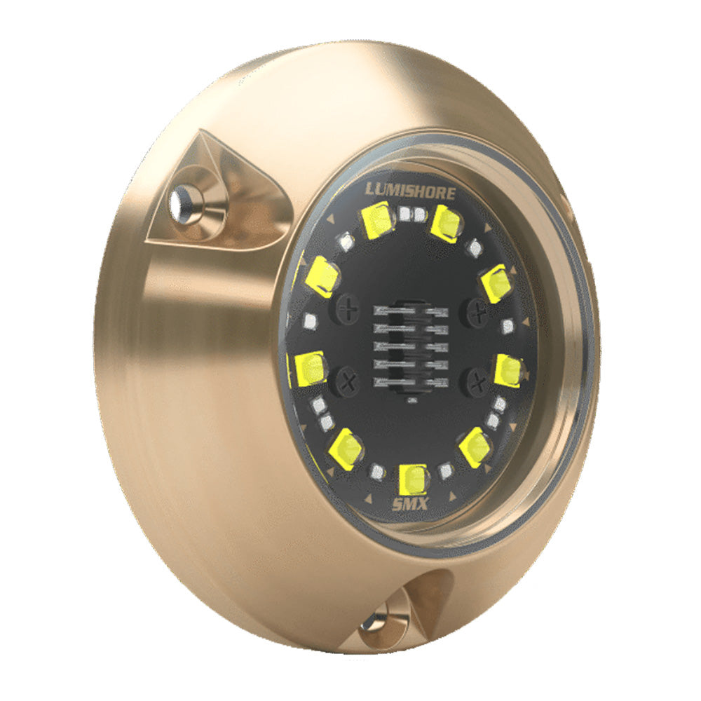 Lumishore ECLIPSE SMX24 Single Light Surface Mount Underwater Light BlueWhite 0100450400