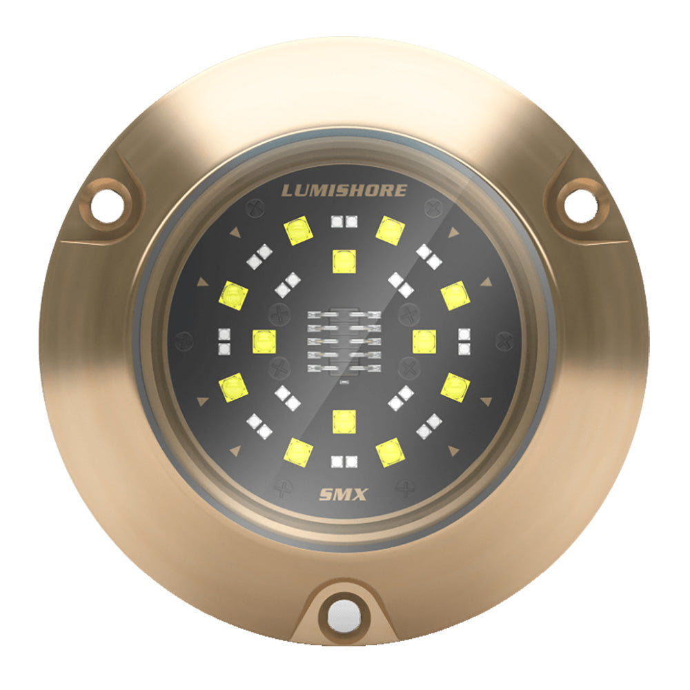 Lumishore ECLIPSE SMX54 Single Surface Mount Underwater Light BlueWhite 0100450500