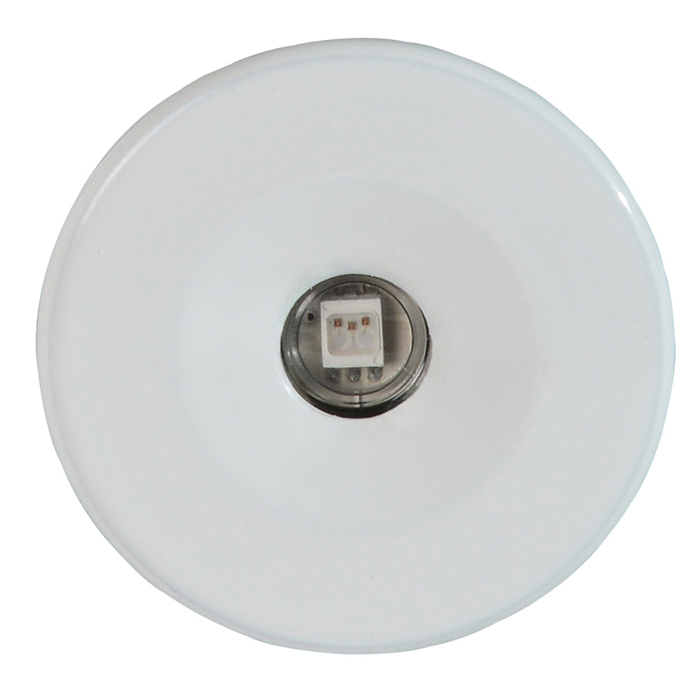 Lumitec Echo Courtesy Light White Housing Warm White Light 101228