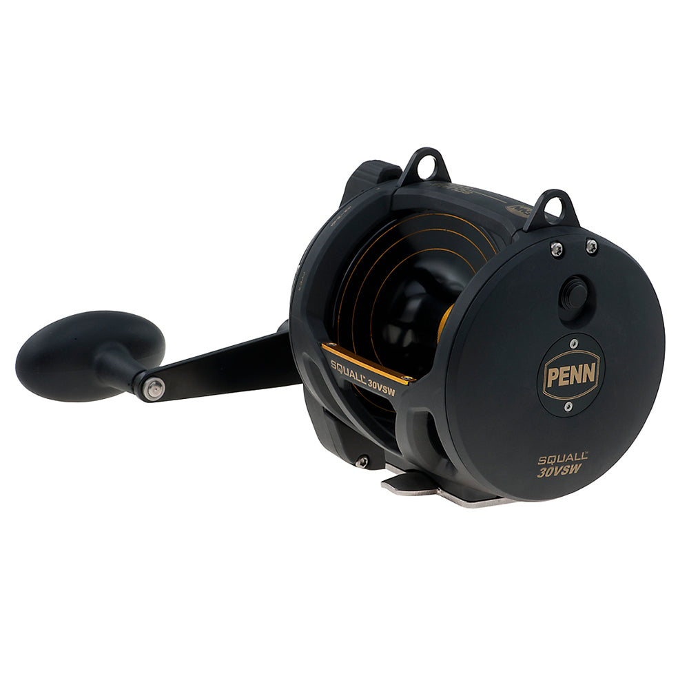 PENN SQL30VSW Squall Lever Drag 2 Speed Conventional Reel 1292937