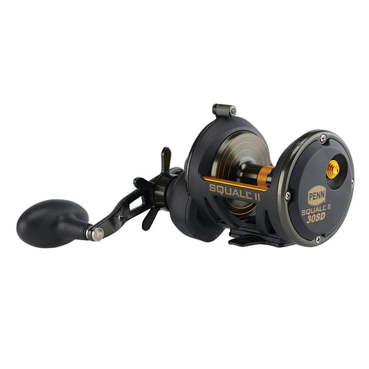PENN Squall II Star Drag Conventional Reel SQLII30SD 1522171