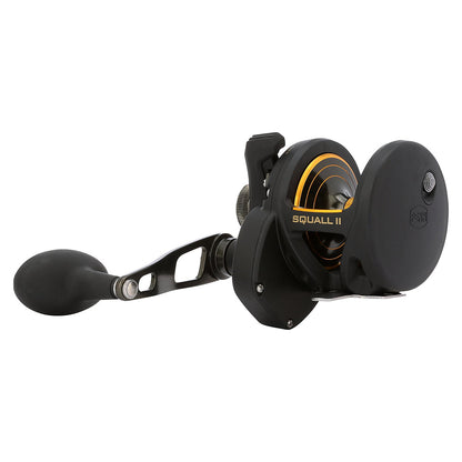 PENN Squall II Lever Drag SQLII25NLD Conventional Reel 1594613