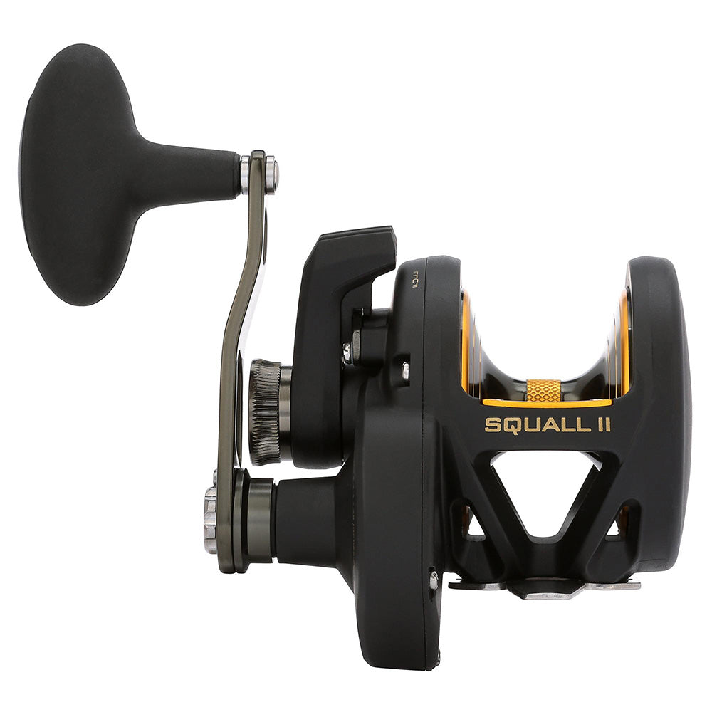 PENN Squall II Lever Drag SQLII25NLD Conventional Reel 1594613