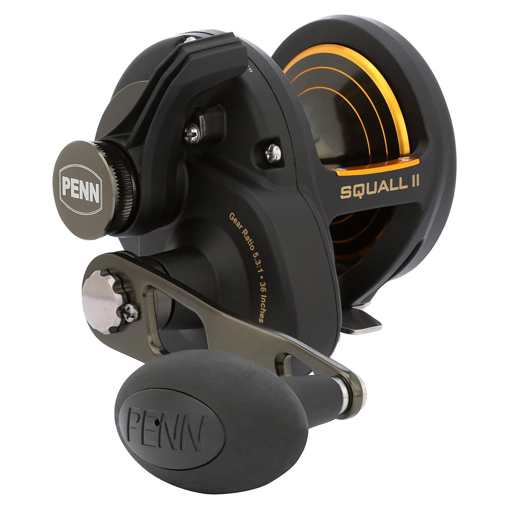 PENN Squall II Lever Drag SQLII25NLD Conventional Reel 1594613