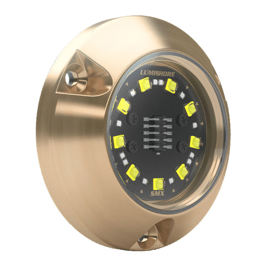 Lumishore ECLIPSE SMX24 Single Light Surface Mount Underwater Light  BlueWhite 0100450400