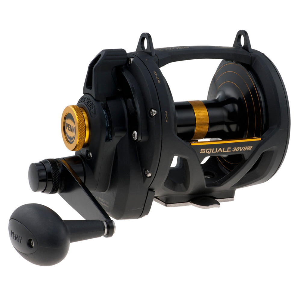 PENN SQL30VSW Squall Lever Drag 2 Speed Conventional Reel 1292937