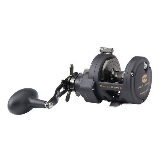 PENN FTHII25NSDP Fathom II Star Drag Conventional Reel 1505235
