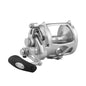 PENN International 50 VISWS INT50VISWS 2Speed Conventional Reel  Silver 1419233