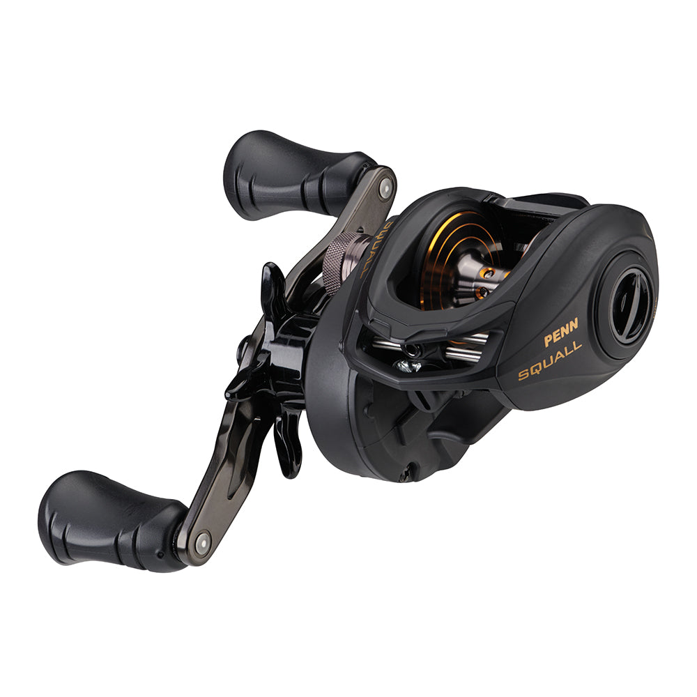 PENN Squall Low Profile Reel  SQL200LP 1525501