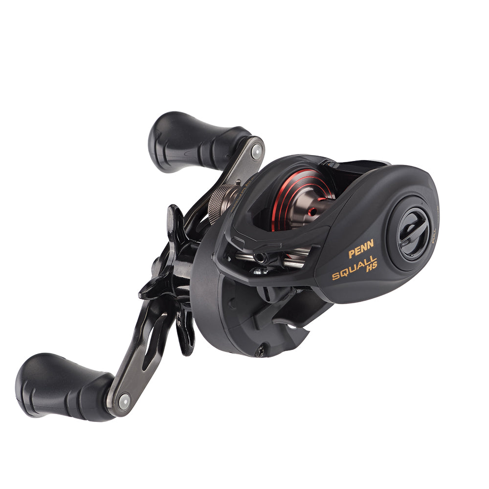 PENN Squall Low Profile Reel  SQL200LPHS 1525502