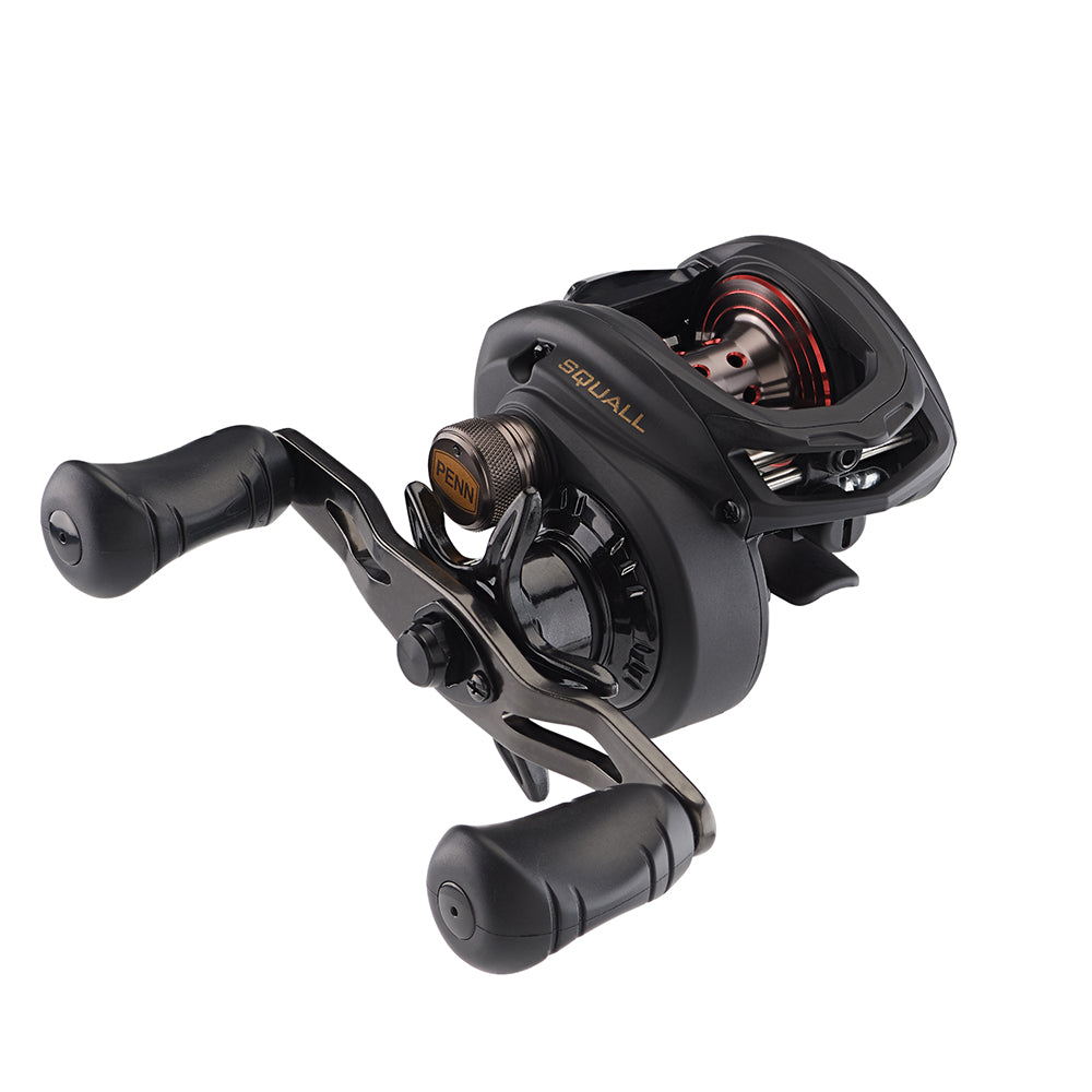 PENN Squall Low Profile Reel  SQL200LPHS 1525502