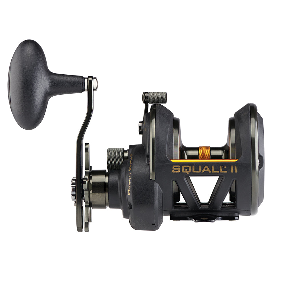 PENN Squall II Star Drag Conventional Reel  SQLII25NSD 1522169