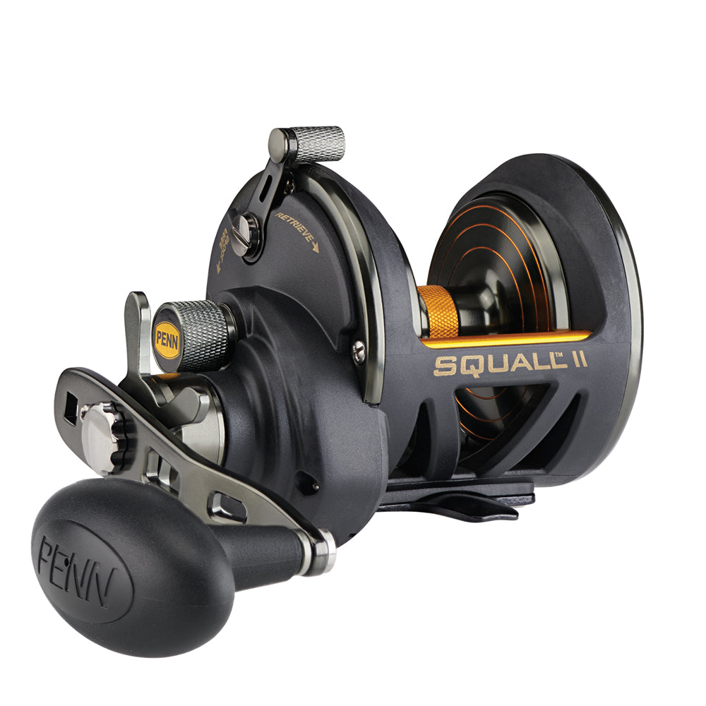 PENN Squall II Star Drag Conventional Reel  SQLII25NSD 1522169