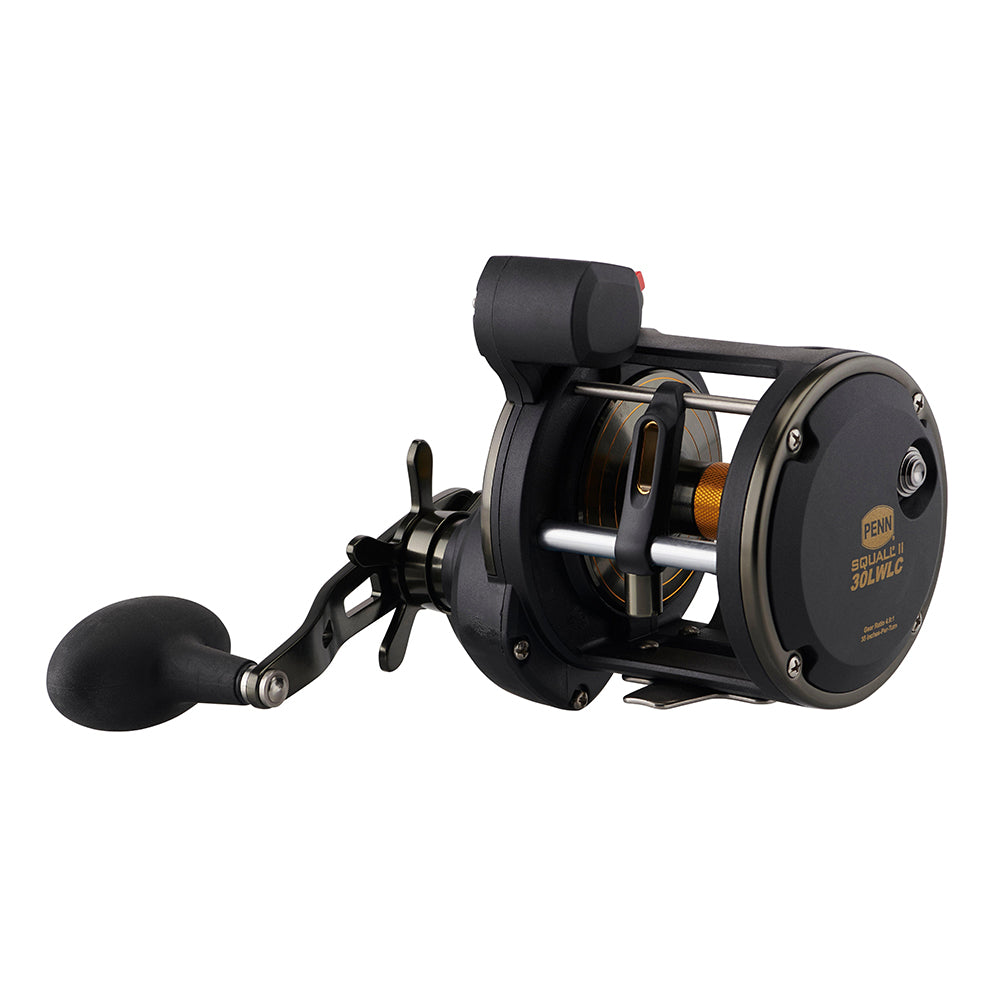 PENN SQLII30LWLC Squall II Level Wind Reel wLine Counter 1545930