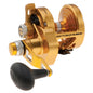 PENN Torque Lever Drag 2 Speed Reel Gold TRQ25NLD2 1206028